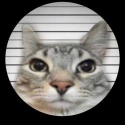 user276812757340's profile image