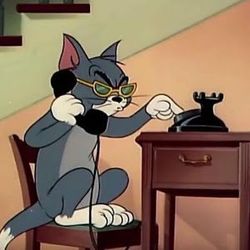 Frank Senator's profile image