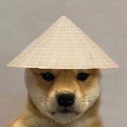 jeeranks's profile image