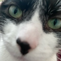 Stinky