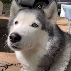 P579's profile image