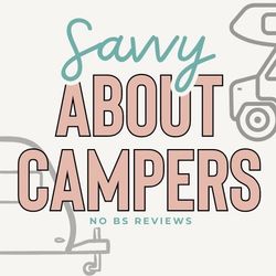 Savvy | Unhinged RV Tours ✨'s profile image