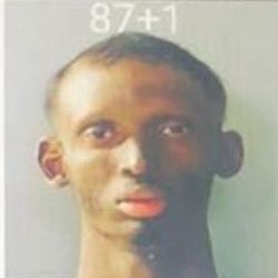 CrazyCarrot35🦛's profile image