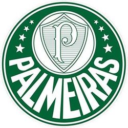 SE Palmeiras's profile image