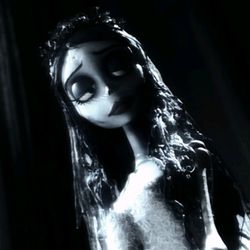☽𝘮𝘰𝘰𝘯𝘭𝘪𝘨𝘩𝘵☾'s profile image