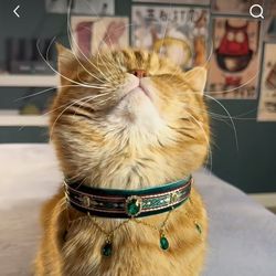 Ziggy's profile image