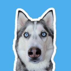 Pluto's profile image