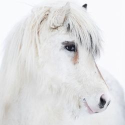 0fftherunway's profile image