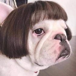 alisa@110's profile image