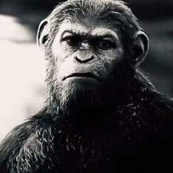 z0xr0w___'s profile image