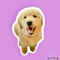 Raya's profile image