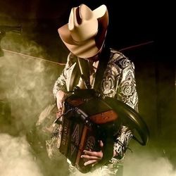 luiseltigree's profile image