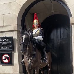 kingsguard86's profile image