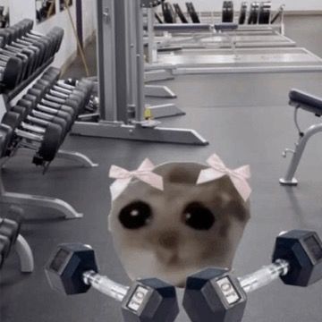 Post Preview Image