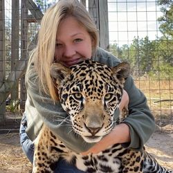 Safari Sammie's profile image