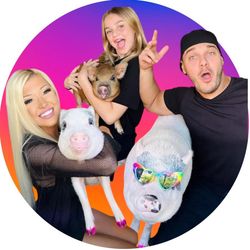 The Tinsley Herd's profile image