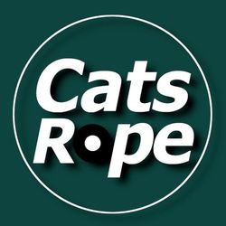 Funny cat videos's profile image