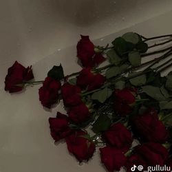 Timer_povsss's profile image