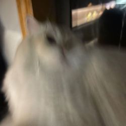 ben's profile image