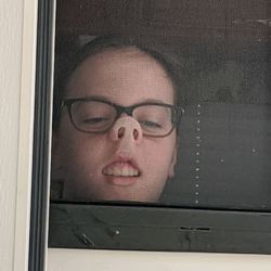 calcifer's profile image