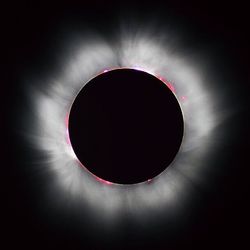 Groundswell's profile image