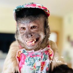 Gaitlyn Rae's profile image