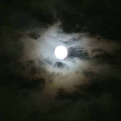 LegitThreads's profile image