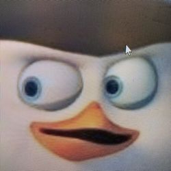 Goeke Caton's profile image