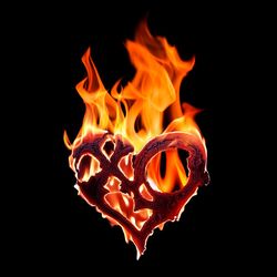 XLOV's profile image