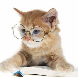 Whisker.Pedia's profile image