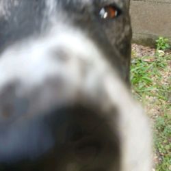 Sherman's profile image