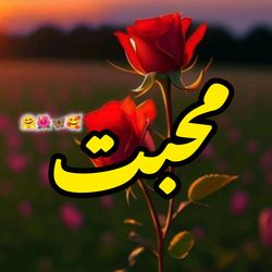 اردو شاعری 🦋's profile image