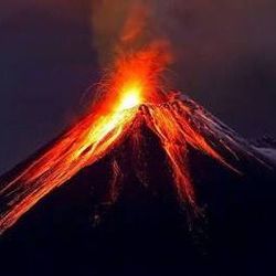 End Of The World's profile image
