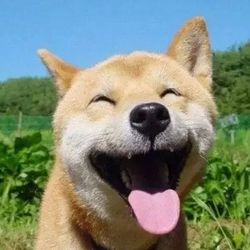 BD_funny's profile image