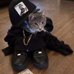 fffqqq05's profile image