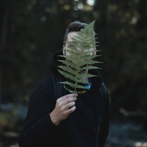 Post Preview Image