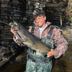 Nick Kratka's profile image