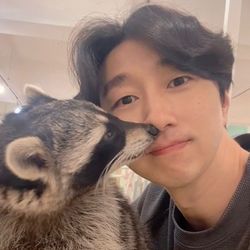 미어캣족장's profile image