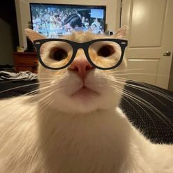 Mr Detector's profile image