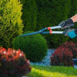 MR Lawn Mowing's profile image