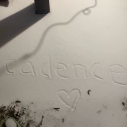 cadenceincontrol's profile image