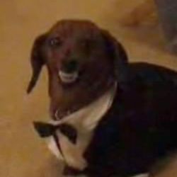 Natalia Koenig's profile image