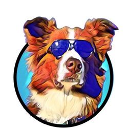WILLY | GoodDog's profile image