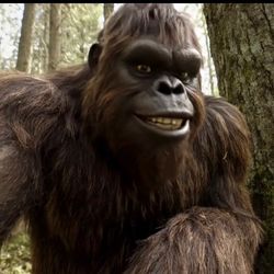 bigfootuncensored's profile image