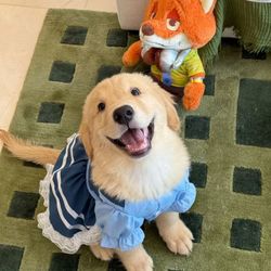 Lily.flim's profile image