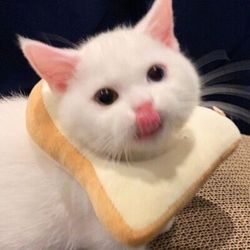 Sweetcandy's profile image