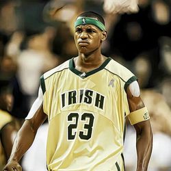 rezlebronrayjames's profile image