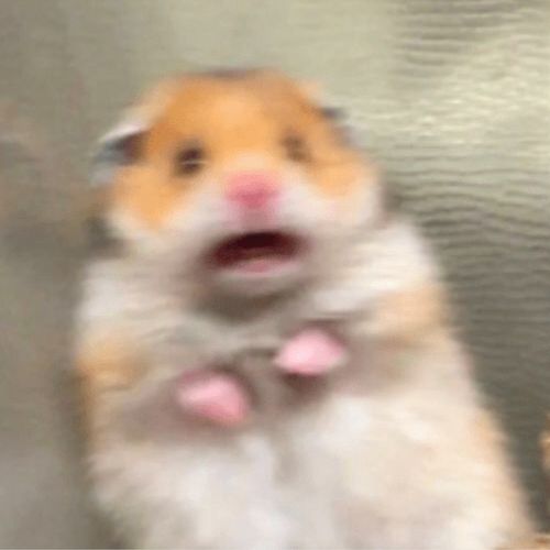 Post Preview Image