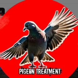PIGEONS TREATMENT's profile image