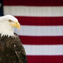 phucauditusa21459's profile image